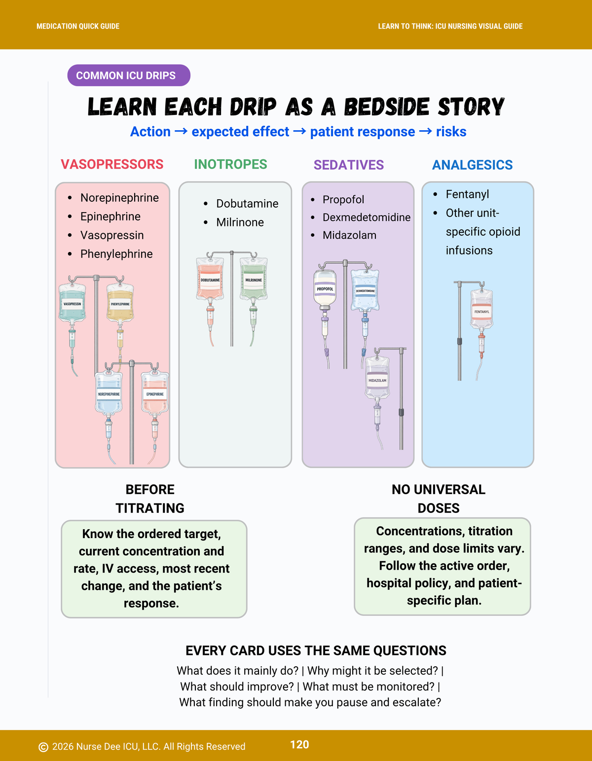 Learn to Think Like an ICU Nurse: The Visual Guide — Paperback